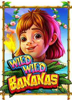 สล็อต ออนไลน์ ฝาก ผ่าน วอ เลท ค่าย Joker Gaming สะดวกง่าย สนุกทุกเวลา